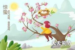 2023年惊蛰出生的女孩命运如何？