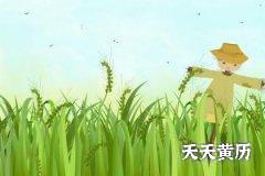2022年小满节气出生男孩起名带满字参考