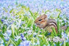 黑道日平日适合做什么？平日搬家怎么样？