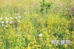 2022年腊月十三日五行穿衣什么颜色好？