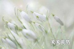 2022年农历五月二十二安葬怎么样？