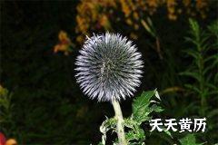 2022虎年农历五月十八安葬合适吗？
