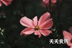 三伏天在农历几月？三伏天怎么防暑降温？