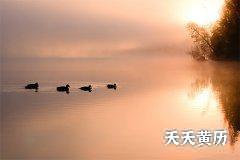 生肖羊在2023年犯太岁吗？生肖羊性格如何？