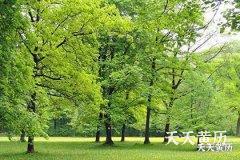 怎么知道是不是黑道日，黑道日怎么算？