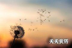 2022年农历五月二十是适合安葬的日子吗？