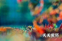 2023年运气好的是什么生肖？