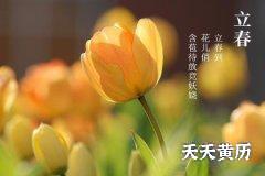 2023年立春出生的孩子五行属什么？
