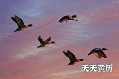 十二月建之成日宜忌，成日最适合做的事情是这些