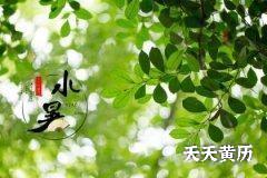 小暑是最热的时候吗？小暑节气有什么样的养生食品？