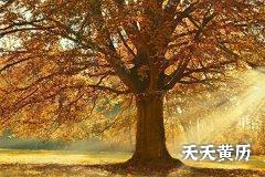 <b>黑道日分几种，十二建日黑道日怎么推算</b>