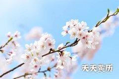 2022年腊月十三日是吉日吗？卦象是上上卦吗？