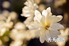 <b>黄道日黑道日表，黑道日结婚好吗</b>