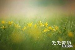 <b>黑道日能摆酒席吗，朱雀黑道日是意思啊</b>
