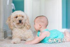 2023年农历七月二十一日缺土男孩怎么起名？