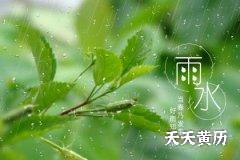 2023年雨水节气具体时间是几点几分？
