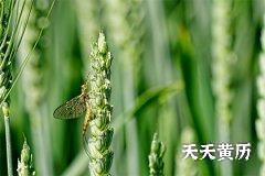 2022年农历腊月二十七日五行穿衣吉利好颜色