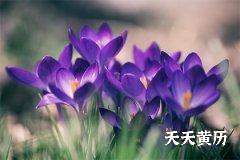 <b>值神勾陈就是黑道日吗，十二建日哪些是黑道日</b>