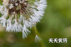 2022年腊月二十五日五行穿衣大红色好吗？