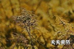 2022虎年农历五月二十七可以安葬吗？