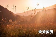 黑道日有哪些，黑道日可以做的事情有哪些？