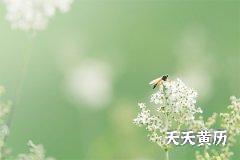 2022年腊月二十一日穿衣五行吉利好颜色