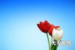 <b>黑道日也有好日子吗，满日黑道日有什么宜忌？</b>