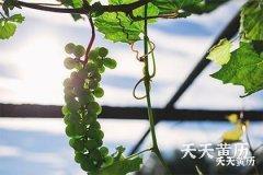 2022虎年农历九月十七日是黄道吉日吗？