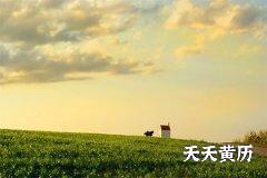 开日可以结婚吗？开日是黄道吉日吗？