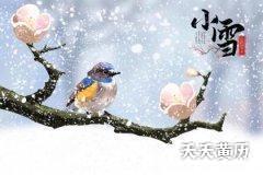 小雪节气晴天好还是下雨好？小雪节气有哪些谚语？