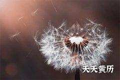 2022虎年农历六月初二祭祀好不好？