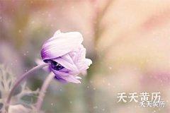 满日是吉利日子吗，满日不适合做这些事情