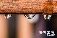 三伏天吃什么祛湿？三伏天有什么祛湿的手段？