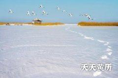 2022年大雪节气出生的女孩怎么取名？、