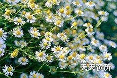 2022年农历四月初七是祭祀的吉日吗？传统祭祀的场所