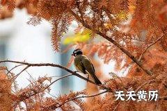 2022年十二月十八日黄历日子好不好？