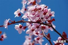 <b>黑道日天牢收日什么意思，天牢收日黑道日不能干什么</b>