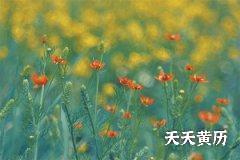 2022年十二月十七日是黄道吉日吗？卦象吉利吗？