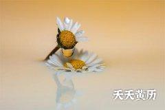 2022年农历五月十九是安葬的好日子吗？