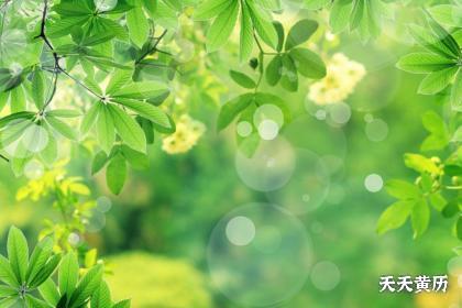 春分节气是什么时候开始的？春分时节怎么养生？