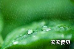 雨水节气晴天好还是下雨好？雨水时节为什么适合吃蜂蜜？