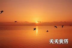 十二星黄黑道日，怎么看是黄道日还是黑道日？