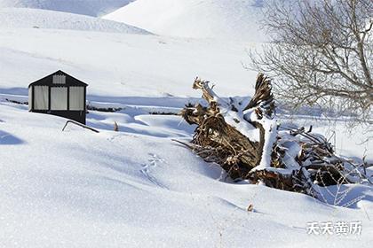 21年8月黄历平日成日 平日是黄道吉日吗 天天黄历