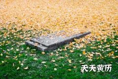2022虎年农历十二月十一可以安葬吗？