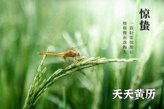 惊蛰节气代表开始打雷吗？惊蛰吃梨有什么相关故事？