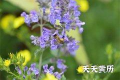 <b>吉日为什么还有黑道日，黑道日哪天搬家好</b>