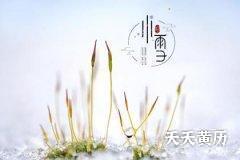 2022年小雪节气具体时间，小雪时节有哪些农事活动？