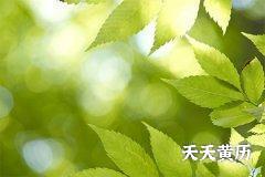 2022年农历三月二十三是黄道吉日吗？
