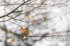 黑道日和黄道日是什么意思，黑道日有哪几天？