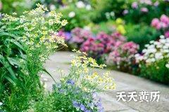 每年入伏从哪一天开始？三伏天问候语